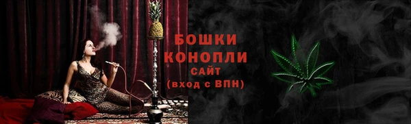 сатива Алзамай